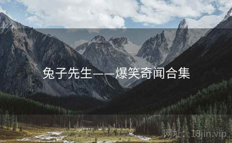 兔子先生——爆笑奇闻合集