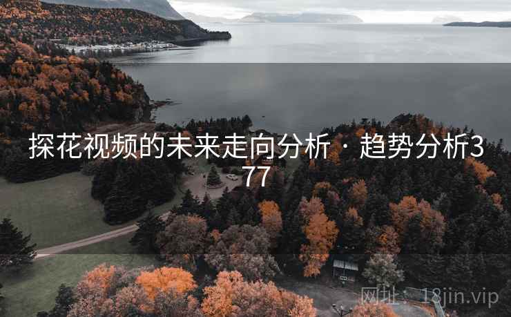 探花视频的未来走向分析 · 趋势分析377