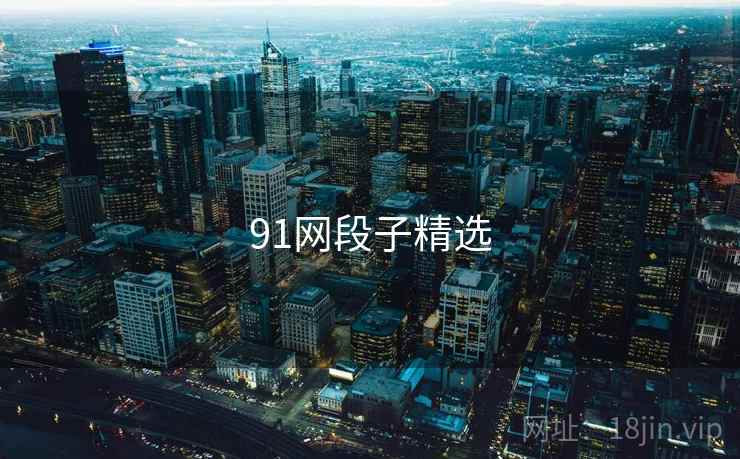 91网段子精选