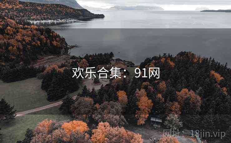 欢乐合集：91网