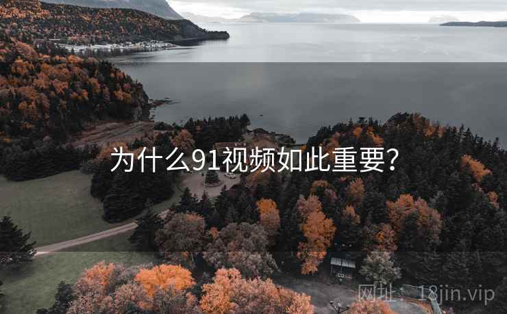 为什么91视频如此重要？