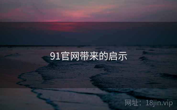 91官网带来的启示