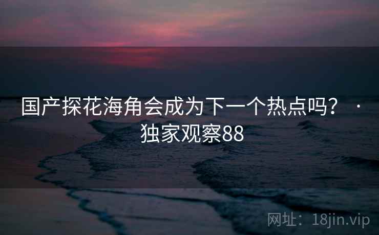 国产探花海角会成为下一个热点吗？ · 独家观察88